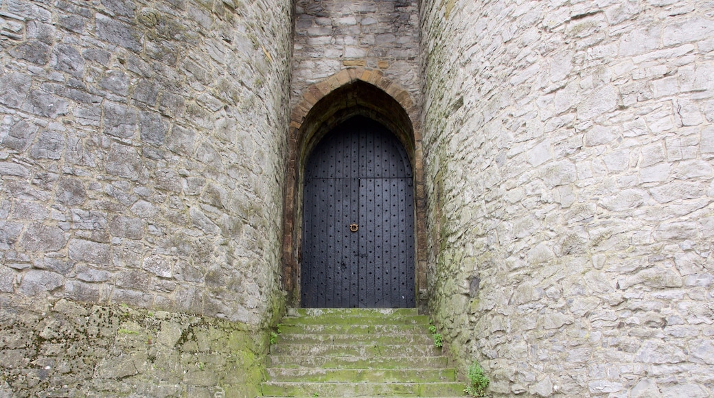 King John\'s Castle which includes a castle, heritage architecture and heritage elements