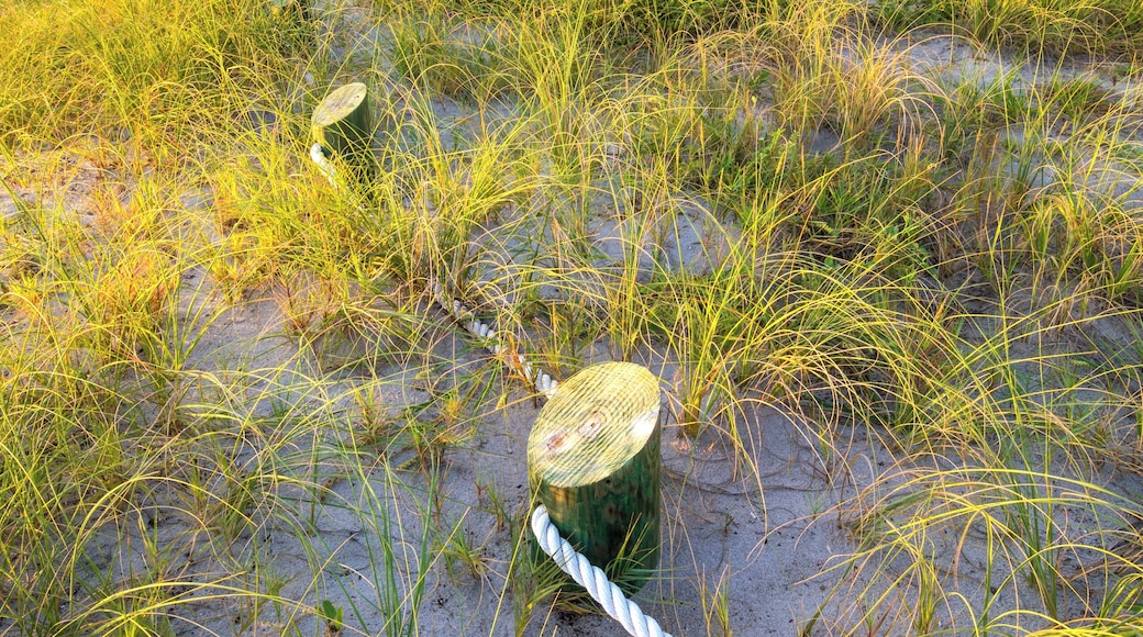Beautiful beach with a stunning sunrise.