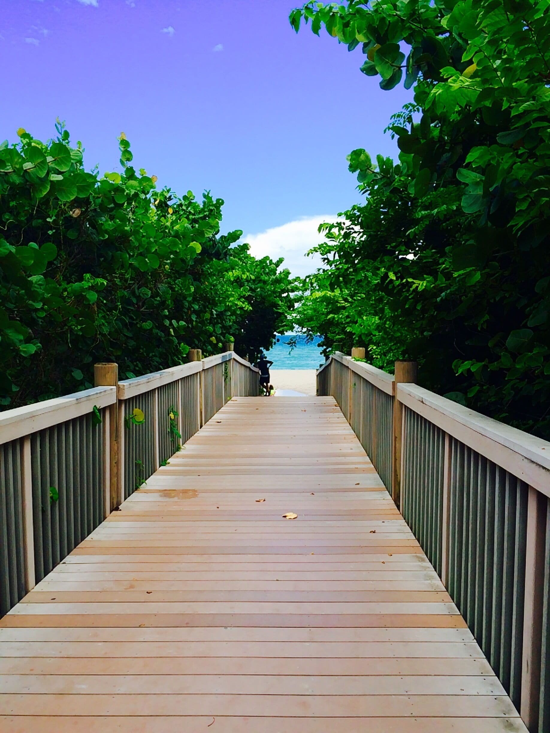 A wooden boardwalk leading to a beach, surrounded by lush green foliage.