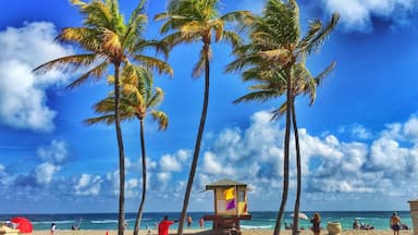 Uma praia com palmeiras, uma torre de salva-vidas e pessoas aproveitando a orla.