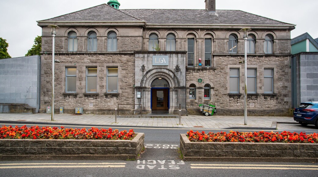 Limerick City Gallery of Art showing heritage architecture and flowers