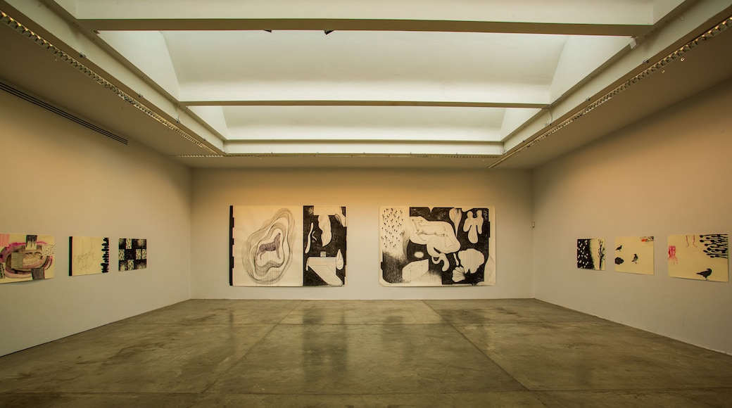 Limerick City Gallery of Art which includes interior views and art