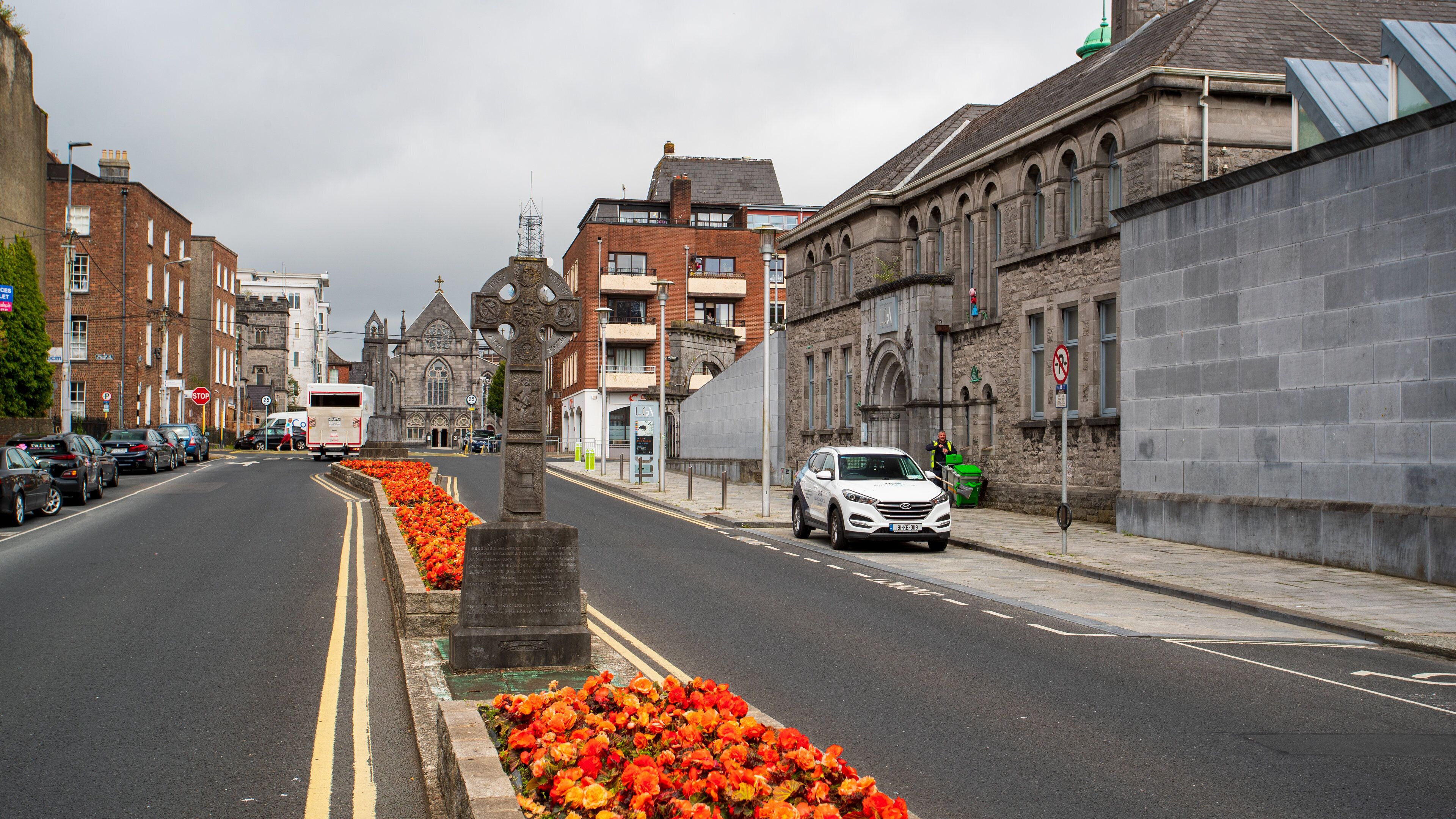 Limerick City Gallery of Art showing a city and flowers