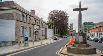 Limerick City Gallery of Art showing heritage architecture