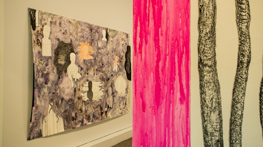 Limerick City Gallery of Art showing interior views and art