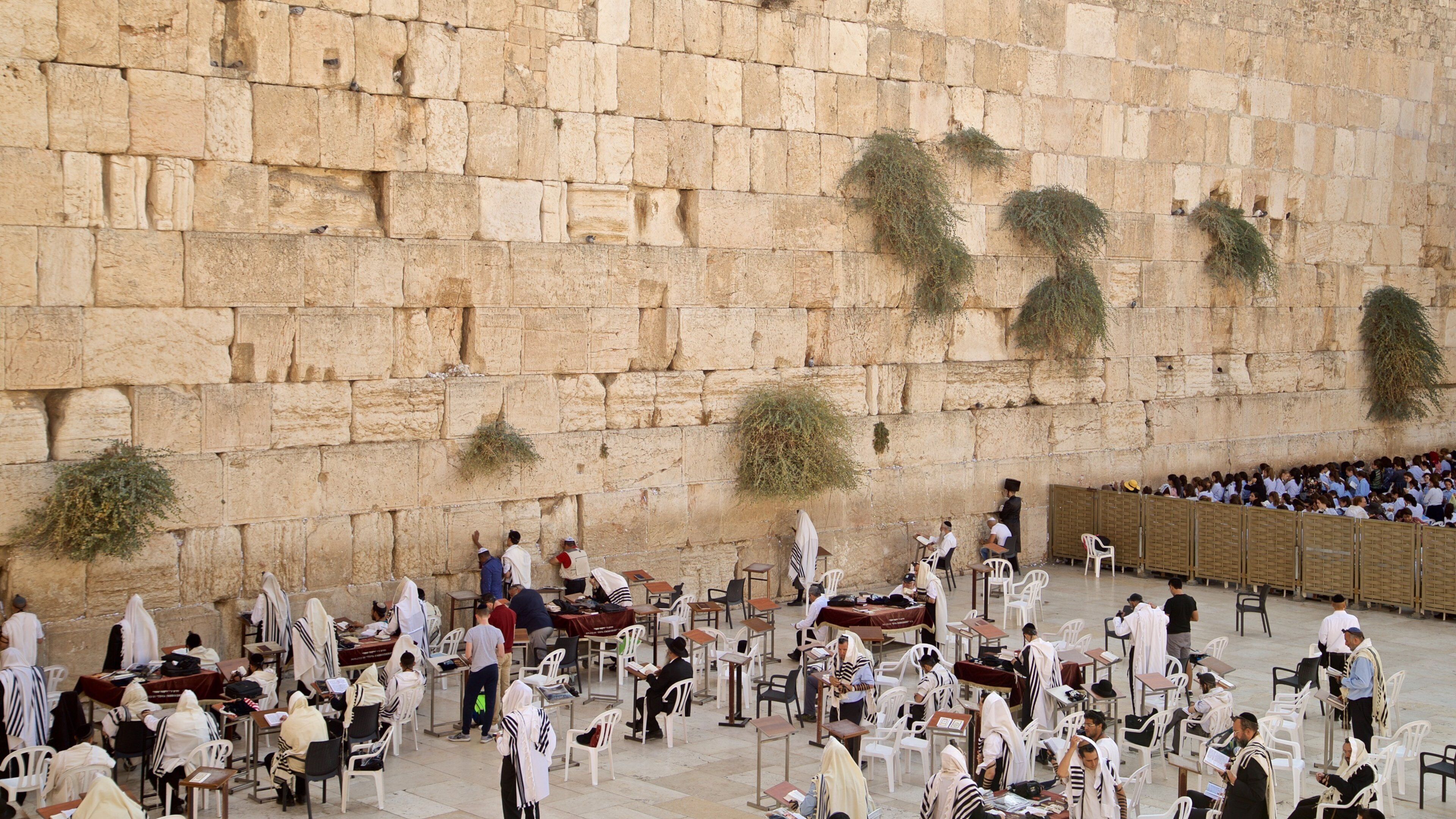 Western Wall featuring religious aspects and heritage elements as well as a small group of people