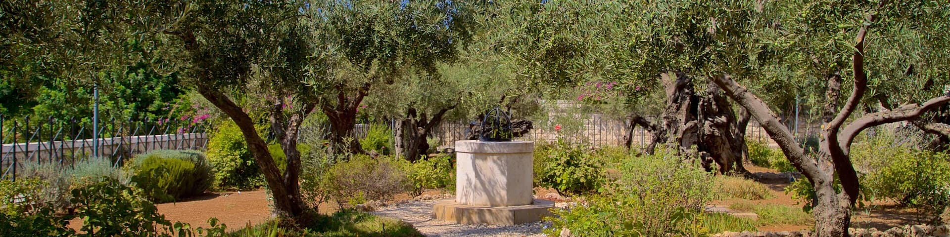 Garden of Gethsemane featuring a garden