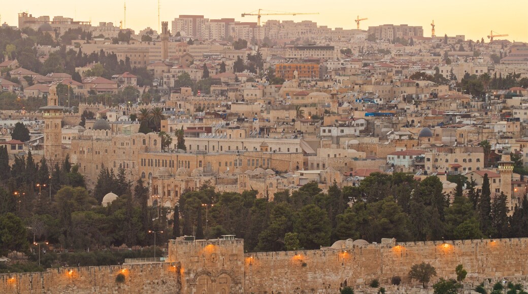 Golden Gate showing a sunset, a city and landscape views