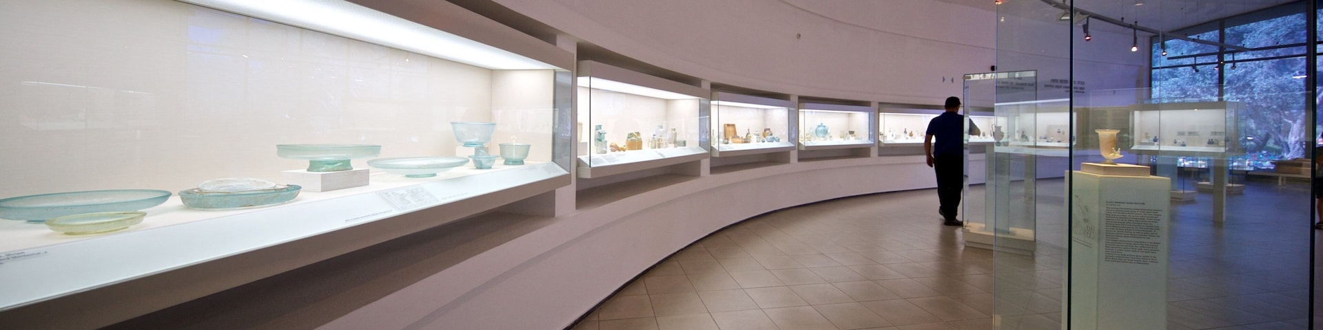 ์๋ ์ธ  ์ด์ค๋ผ์ ๋ฐ๋ฌผ๊ด ์ด ํฌํจ ์ค๋ด ์ ๊ฒฝ