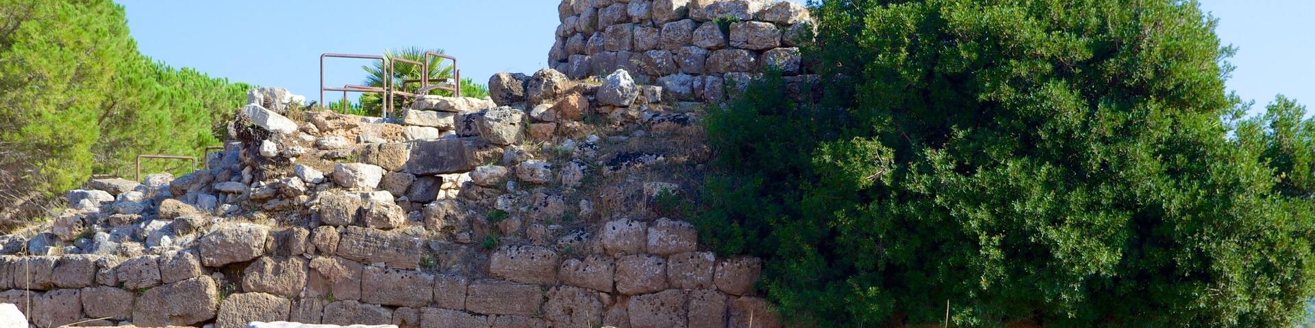 Nuraghe di Palmavera showing building ruins and heritage elements