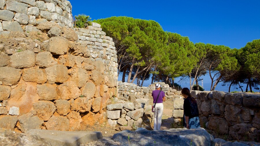 Nuraghe di Palmavera ofreciendo ruinas de edificios, patrimonio de arquitectura y elementos del patrimonio