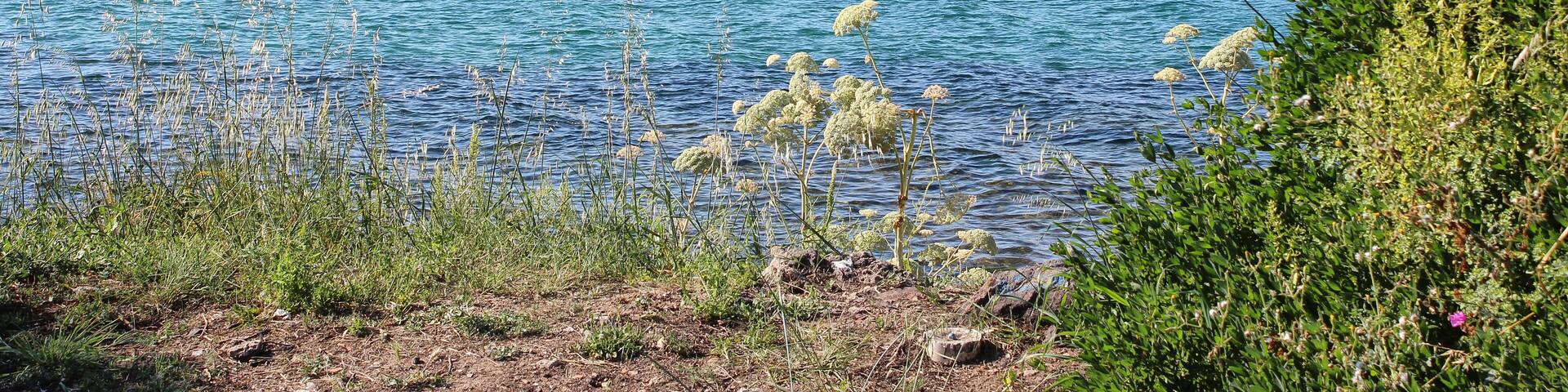 The beach at Pula, Sardinia with St Efisio church in the background. Mountains as a backdrop and turquoise sea with wild flowers in the foreground.