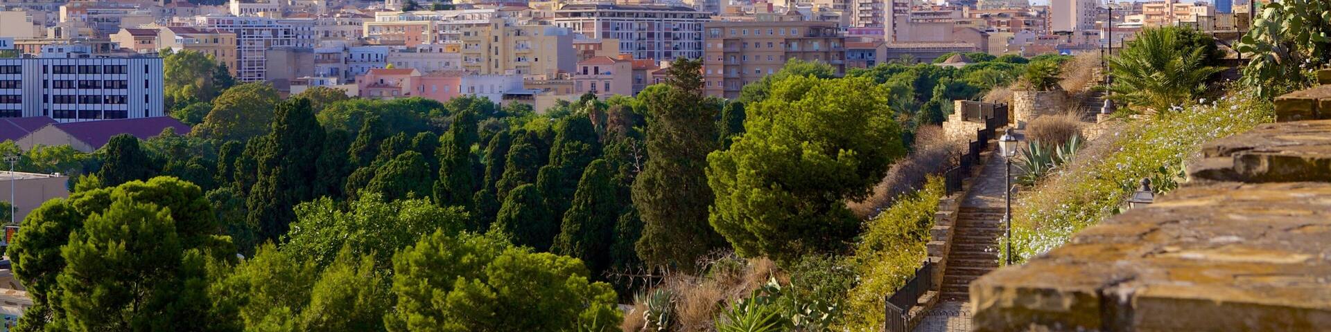 A cityscape with a prominent hilltop fortress, dense greenery, and a mix of modern and traditional architecture.