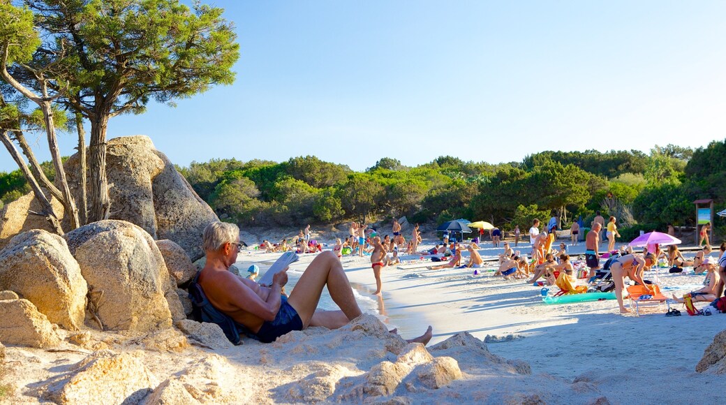 Capriccioli Beach showing landscape views and a beach as well as a large group of people