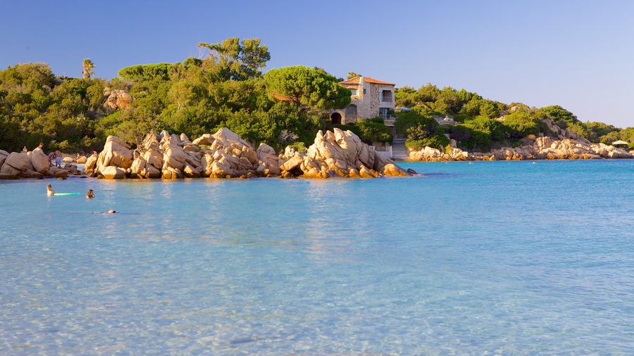 Capriccioli Beach showing rocky coastline, swimming and landscape views