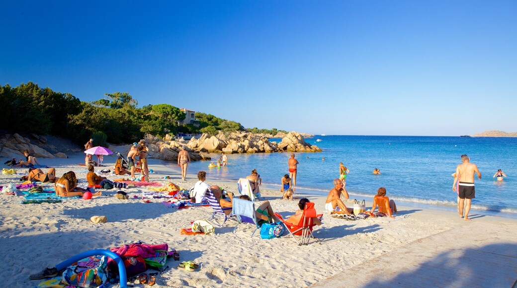 Capriccioli strand som viser tropisk landskap, sandstrand og svømming