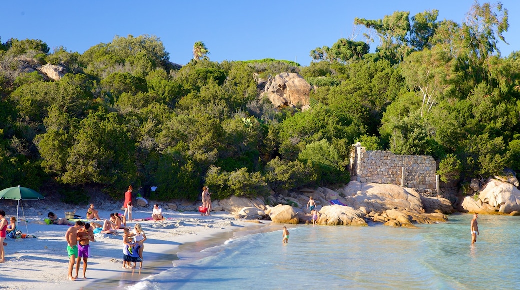 Playa Capriccioli que incluye una playa de arena y también un pequeño grupo de personas