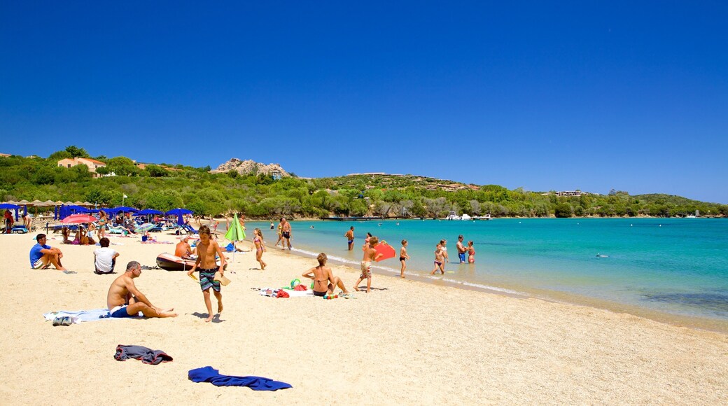 Le Saline Beach showing landscape views, general coastal views and a beach