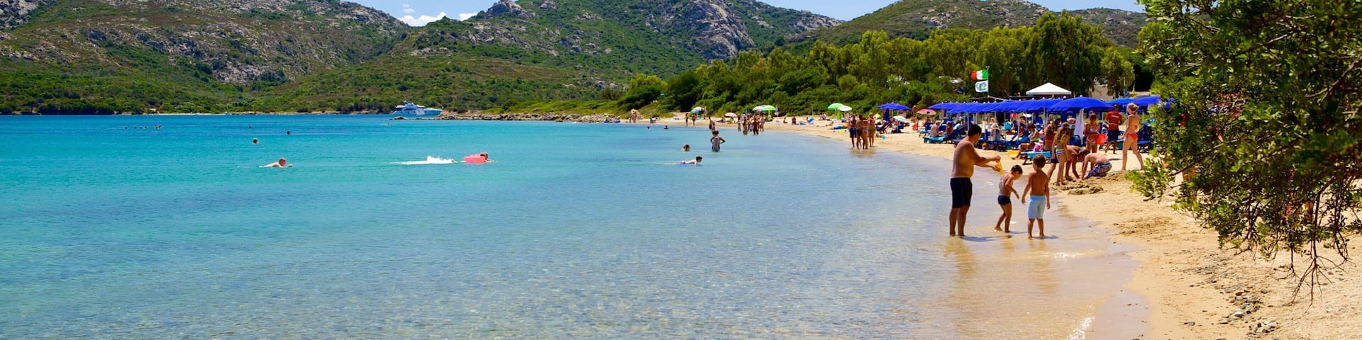 Strand von le Saline welches beinhaltet Strand, Bucht oder Hafen und tropische Szenerien