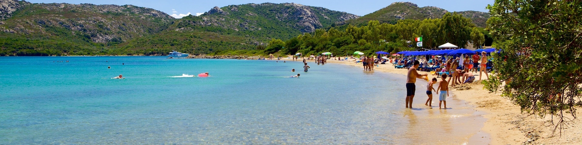 Le Saline Beach featuring tropical scenes, swimming and a bay or harbor