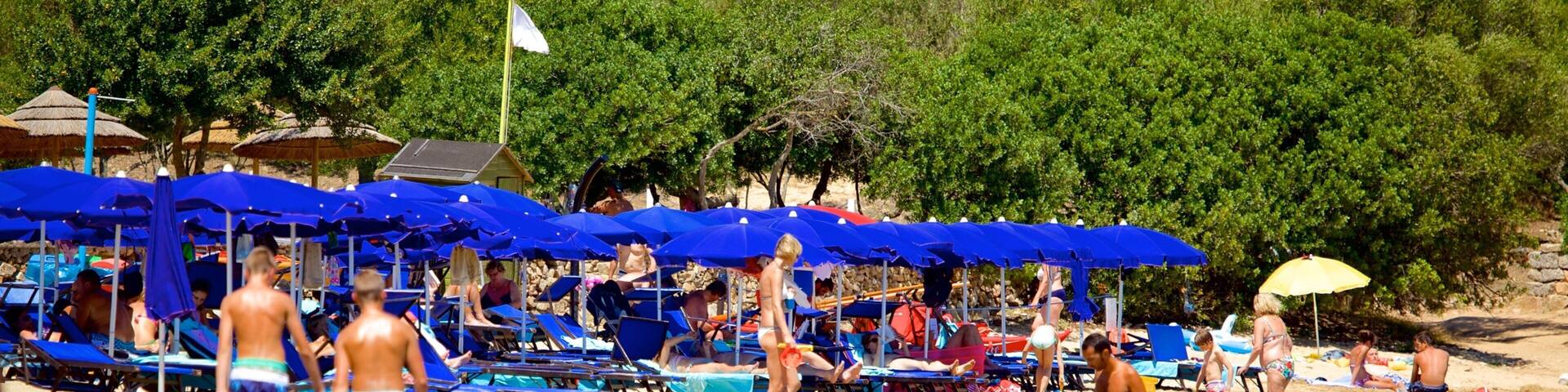 Strand von le Saline mit einem Schwimmen und Strand sowie große Menschengruppe