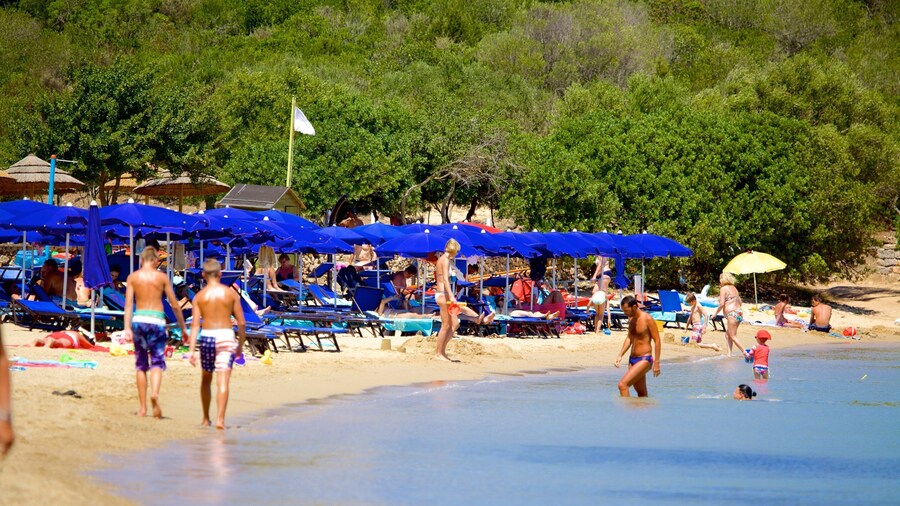 Playa Le Saline ofreciendo una playa y natación y también un grupo grande de personas