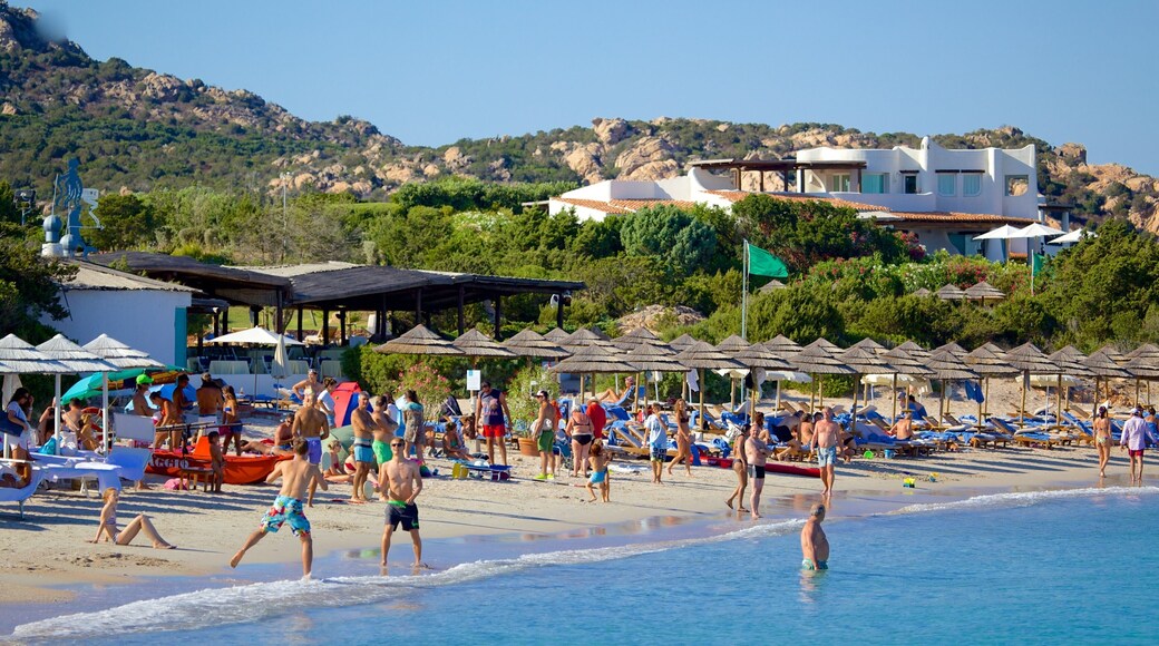 Romazzino Beach featuring a sandy beach as well as a large group of people