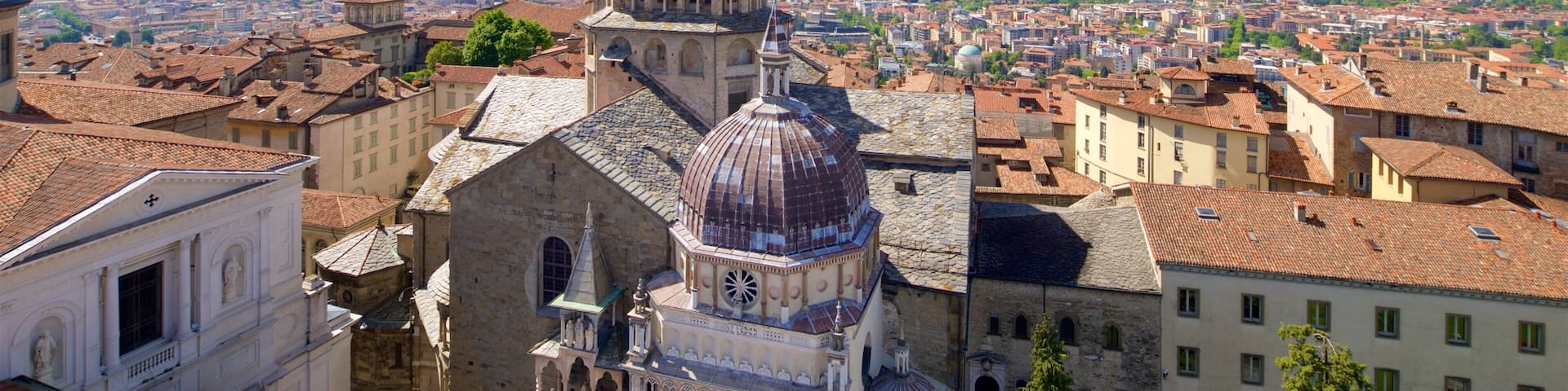 A historic cityscape with prominent domed architecture and a tower.