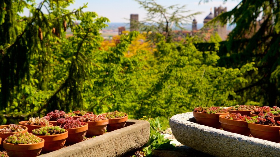 Jardín botánico de Bergamo