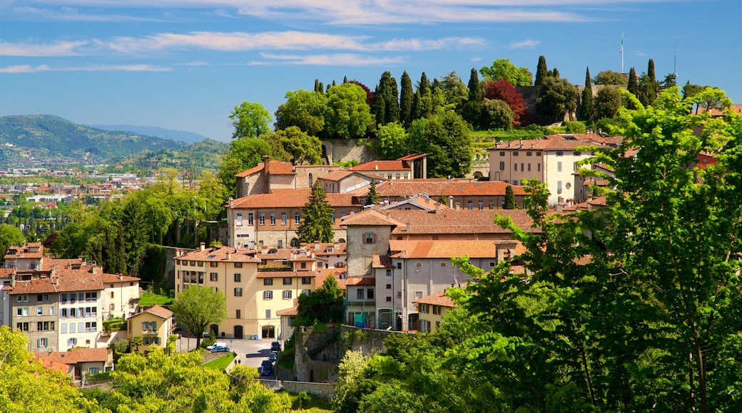 Bergamo botaniske hage