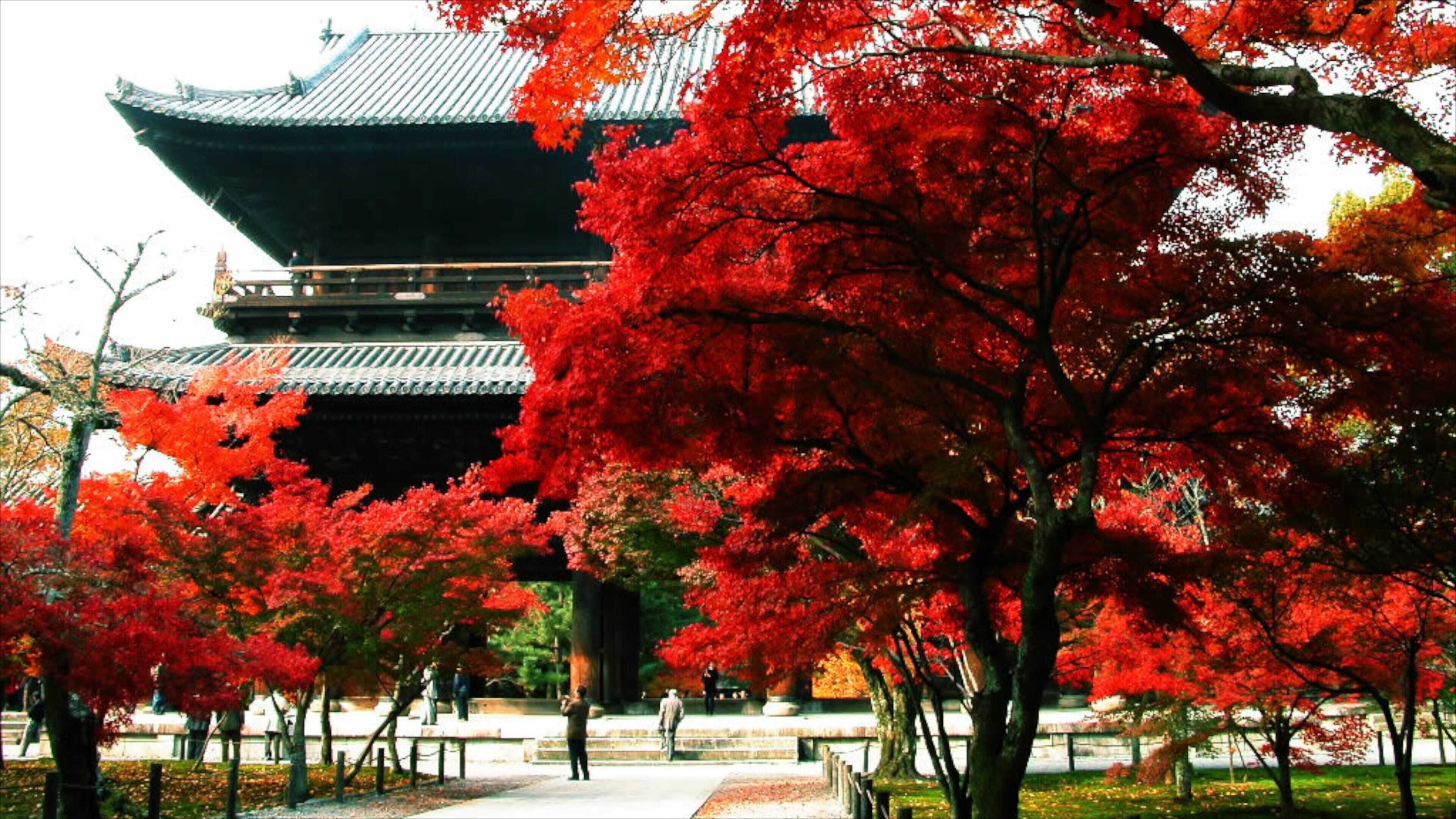 Nanzenji Temple showing autumn leaves and a park