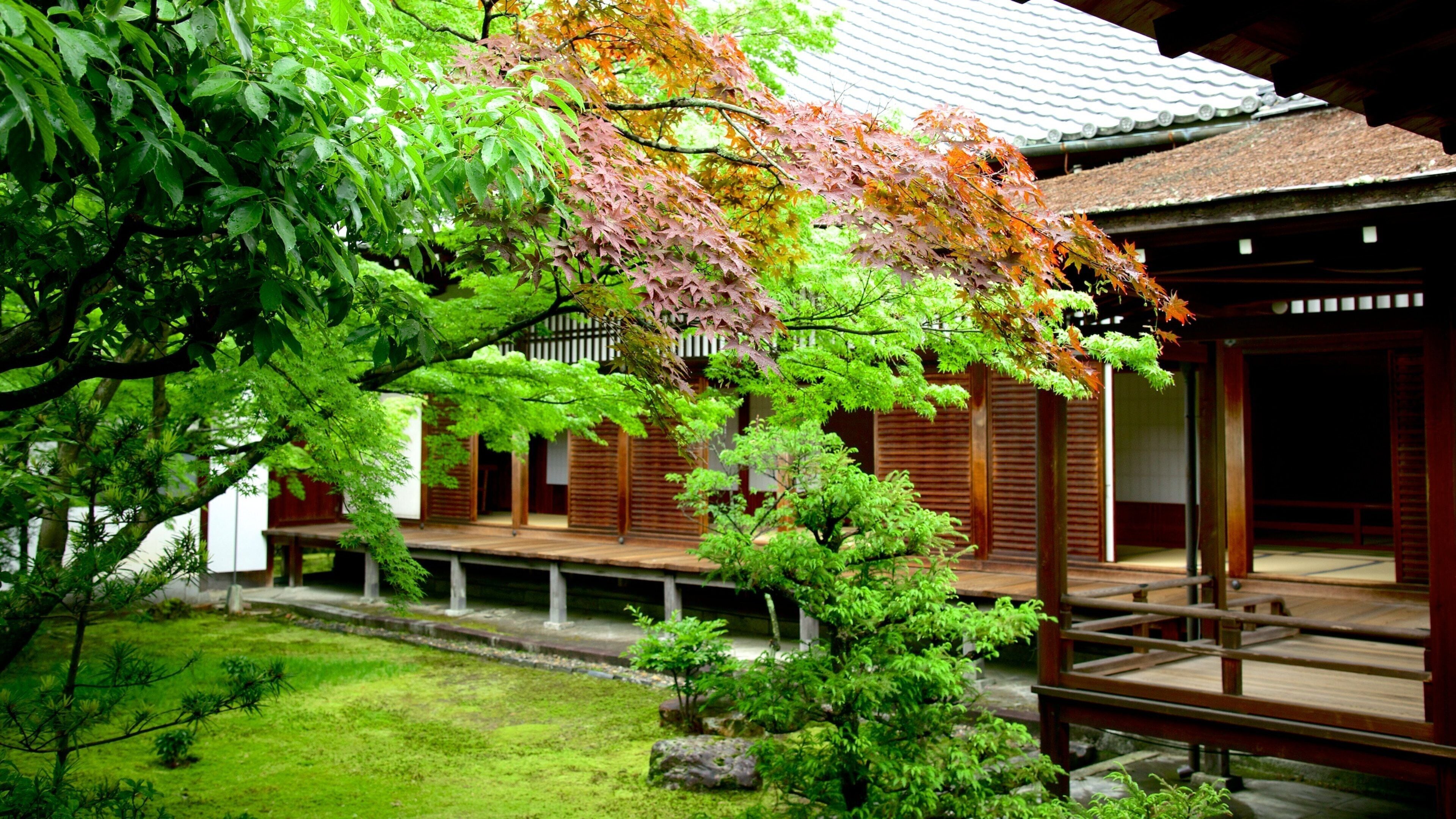 Ninnaji Temple which includes religious elements and a temple or place of worship