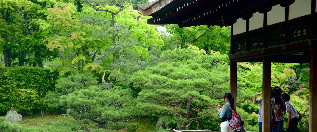 Ninnaji Temple showing landscape views, a temple or place of worship and views