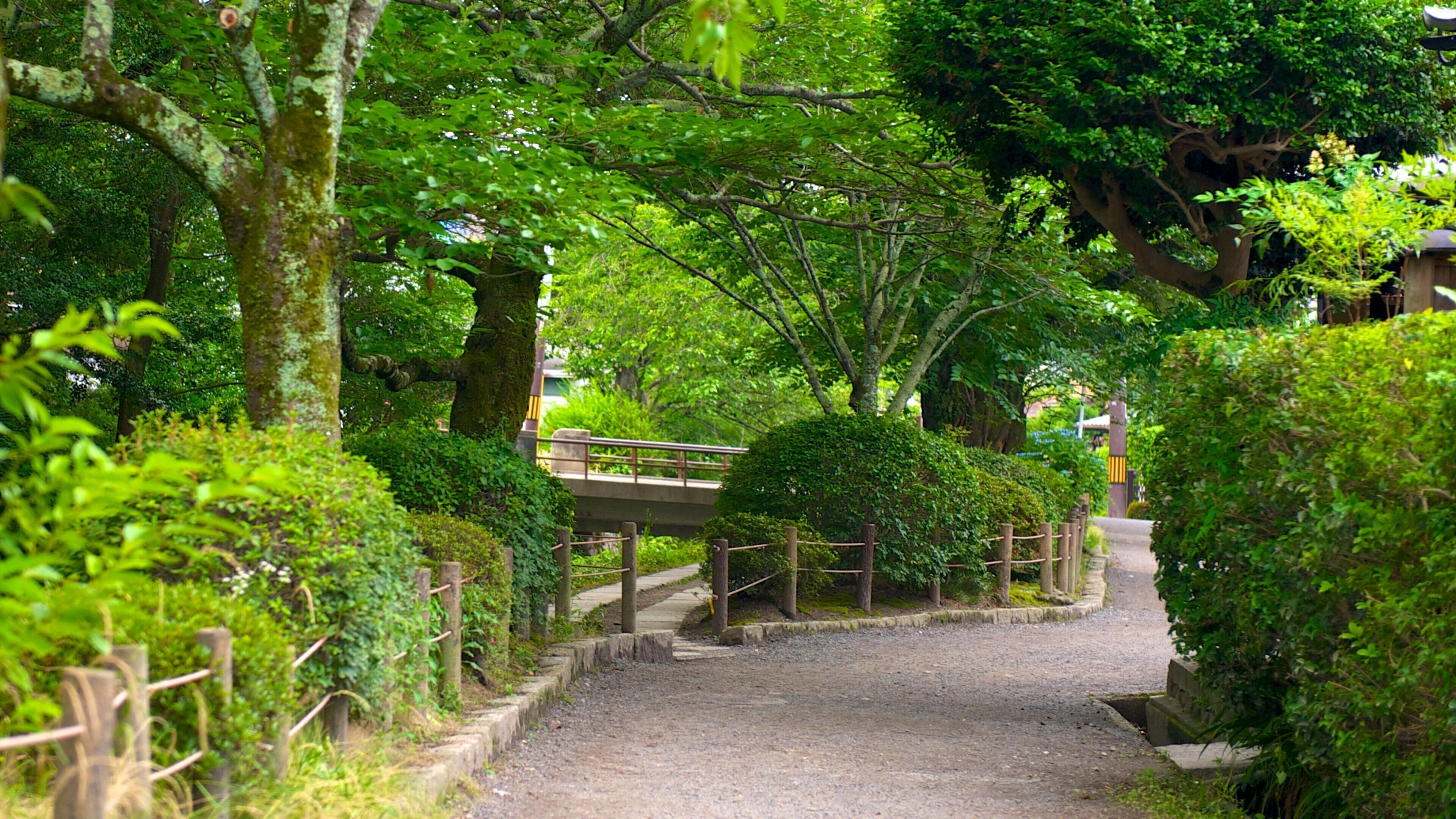 North Kyoto showing a park