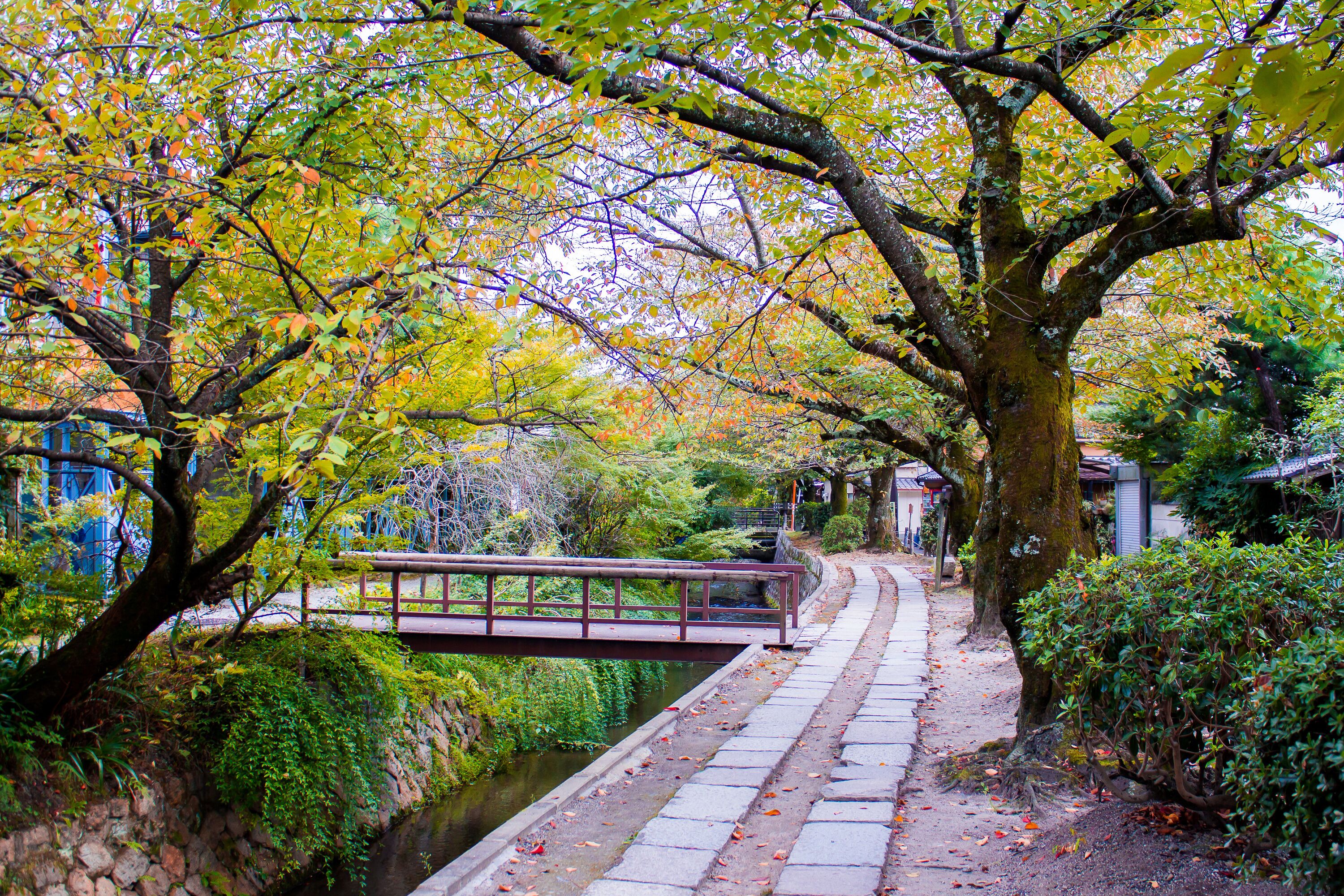 Philosopher's Walk in Kyoto, Japan