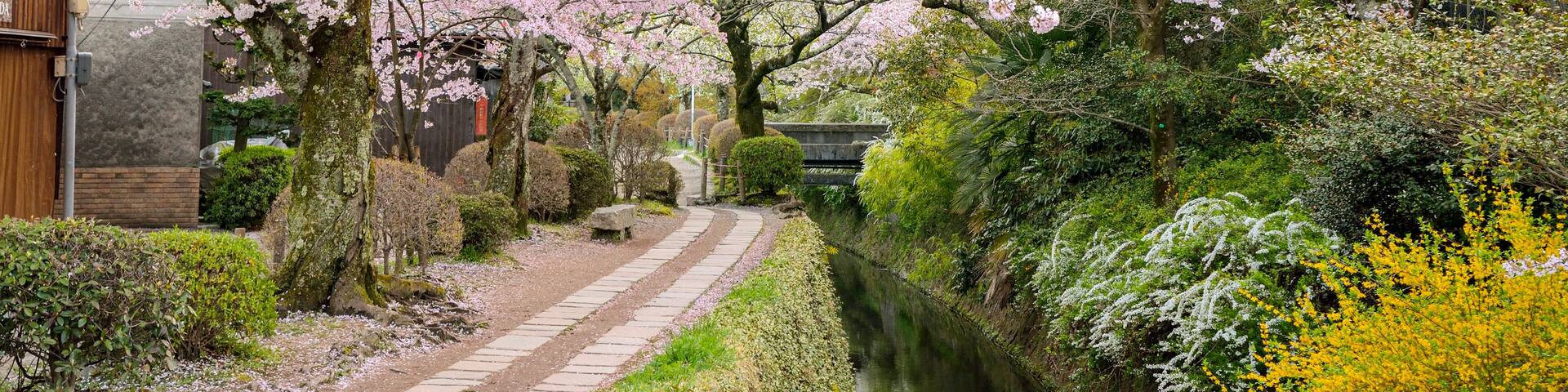 京都の哲学の道