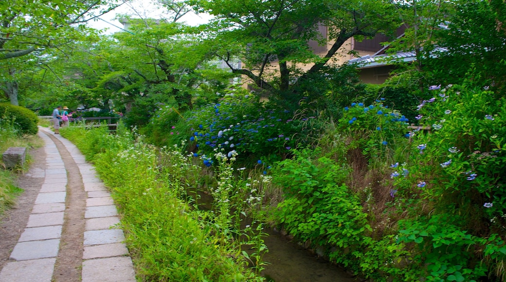 Philosopher\\\'s Walk featuring a garden, a river or creek and wildflowers