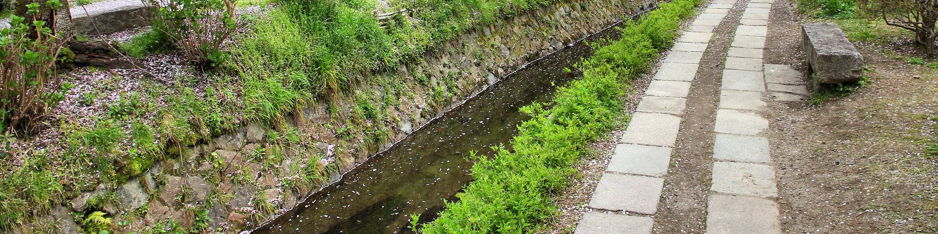 Kyoto, Japan - Philosopher's Walk, a hiking path famous for its cherry blossom (sakura)