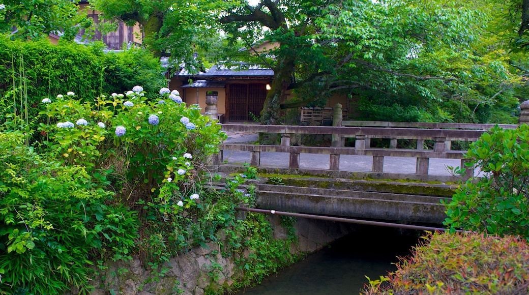 Philosopher\'s Walk showing wild flowers, a park and a bridge
