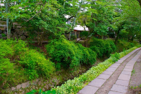 Promenade du philosophe montrant jardin