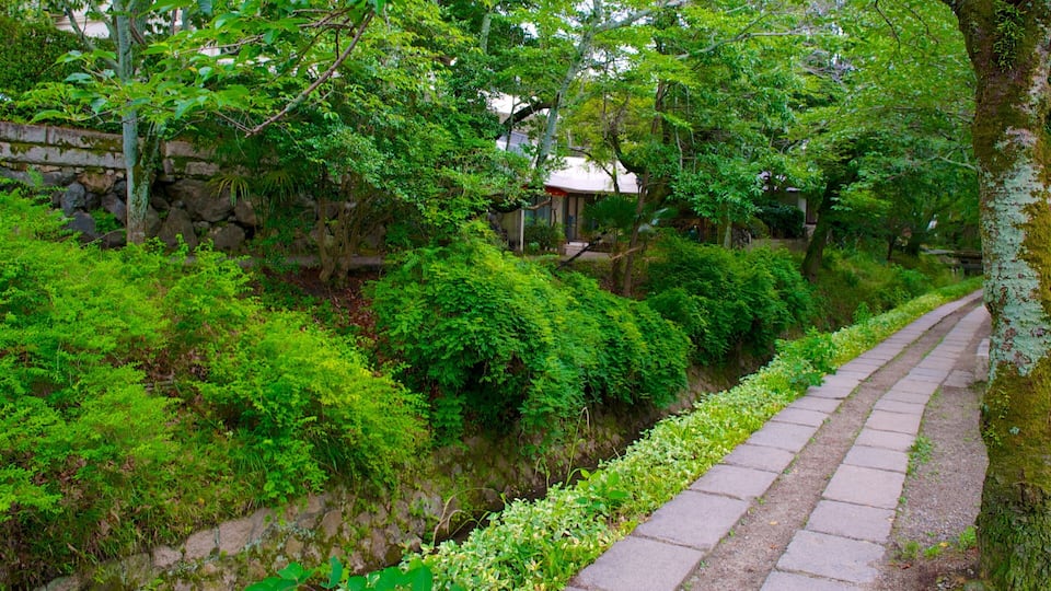 Philosopher\\\'s Walk showing a garden