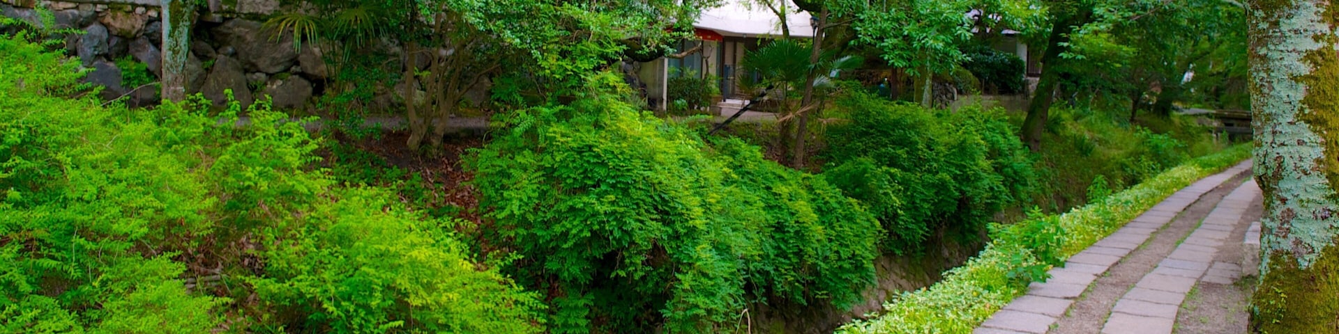 哲學之道 设有 花園