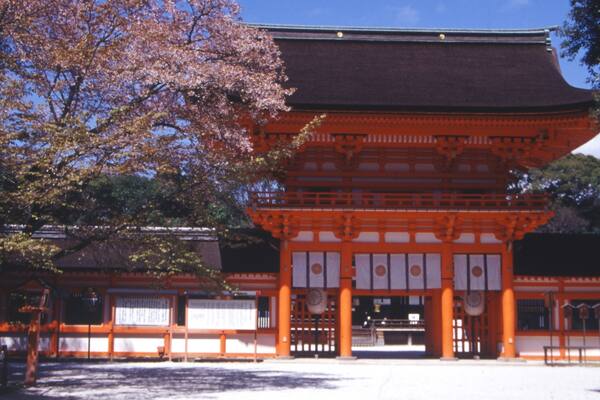 Ein traditionelles japanisches Tor mit rotem und weißem Farbschema, umgeben von Bäumen und einem strahlend blauen Himmel.
