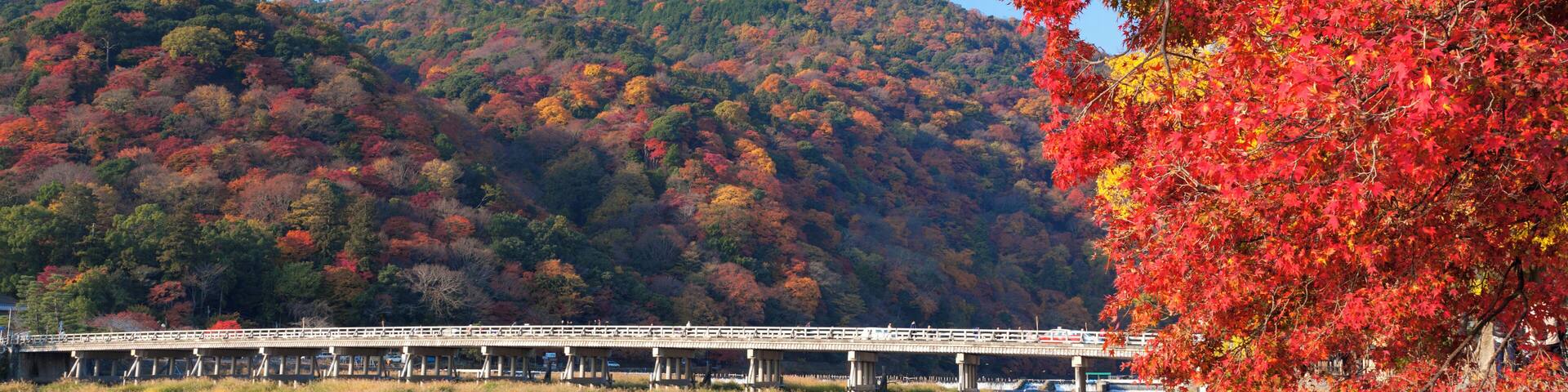 Arashiyama and Togetsukyo in Bridge