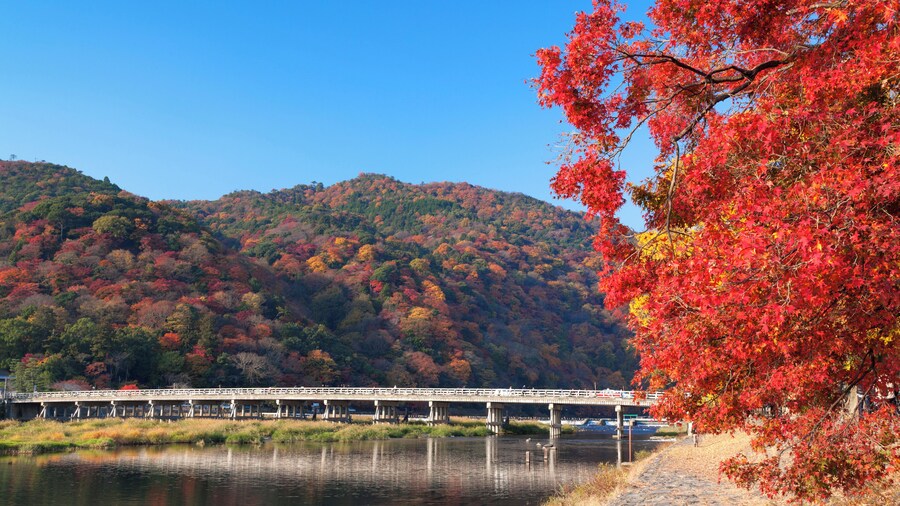 Arashiyama and Togetsukyo in Bridge