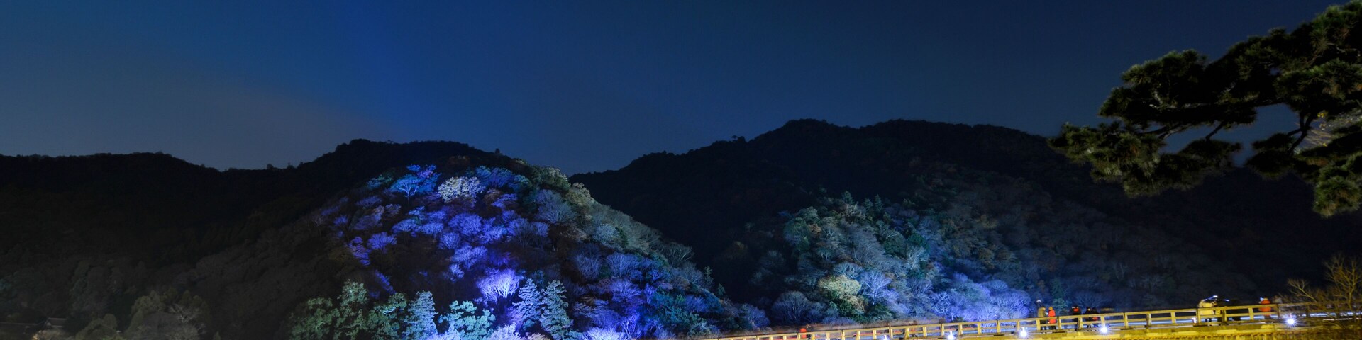 Togetsu Bridge reflecting in the Katsura River at night during the December illumination festival in the Arashiyama area of Kyoto