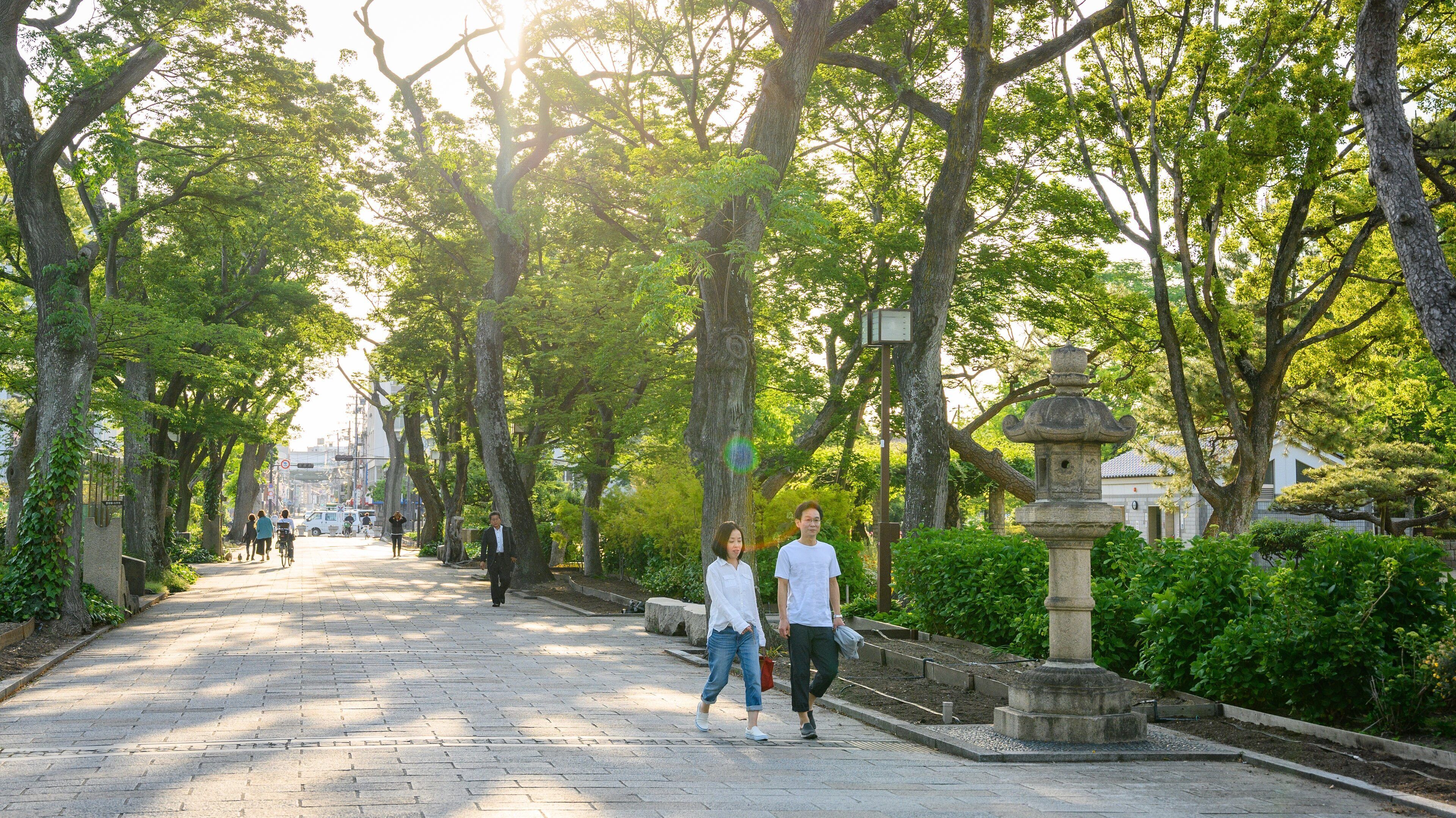 Sumiyoshi Park showing a park and a sunset as well as a couple