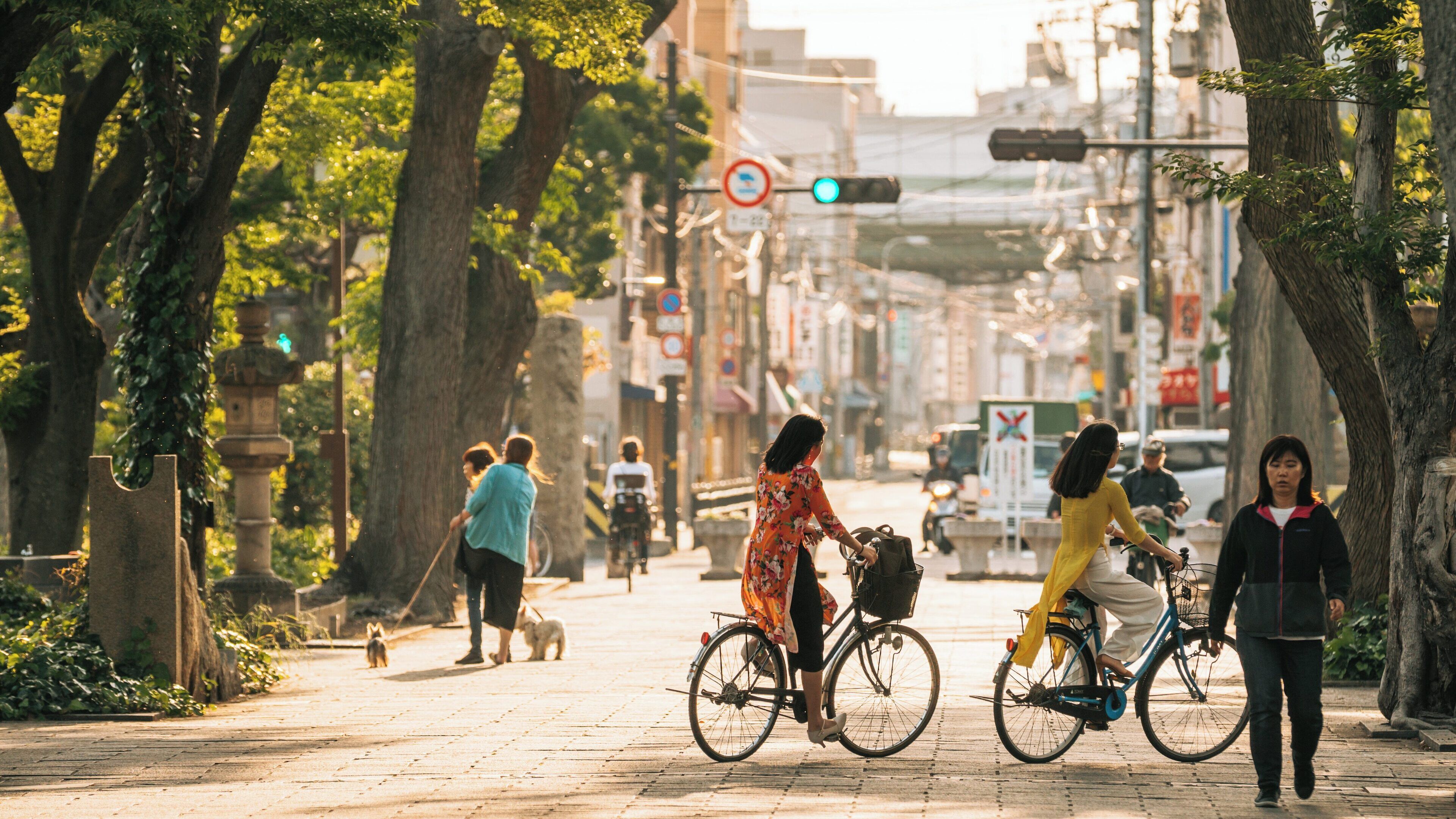 Bicycle riders and pedestrians enjoy a sunny afternoon in Sumiyoshi Park, Osaka Prefecture, Japan, amidst lush greenery and vibrant urban life