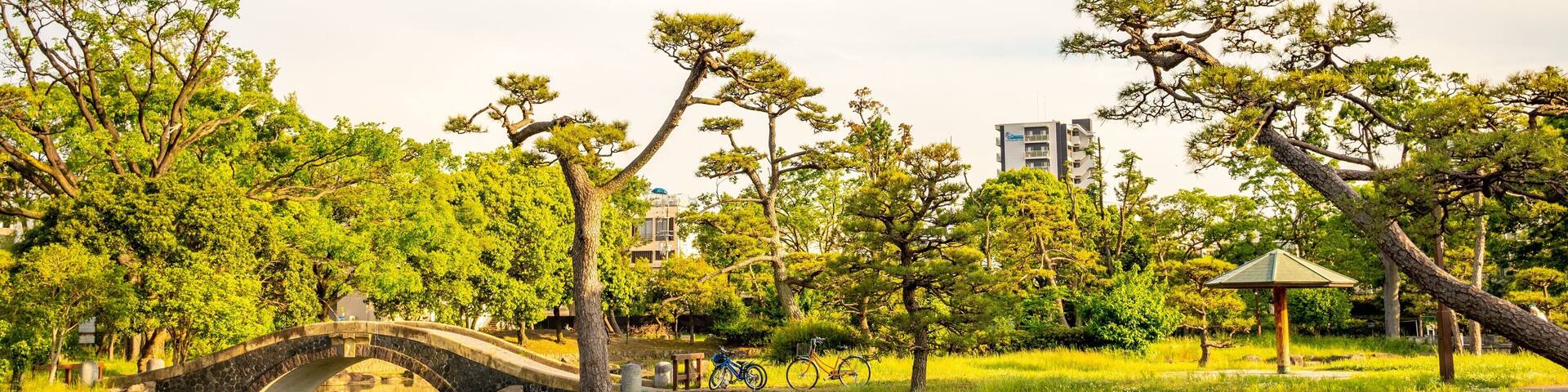 Sumiyoshi Park featuring a pond, a bridge and a park
