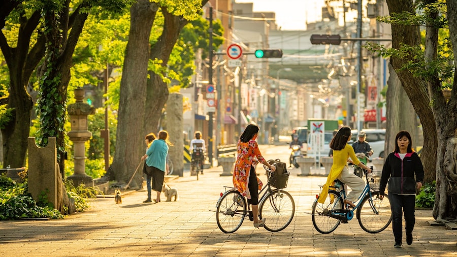 Sumiyoshi Park showing street scenes and cycling as well as a couple
